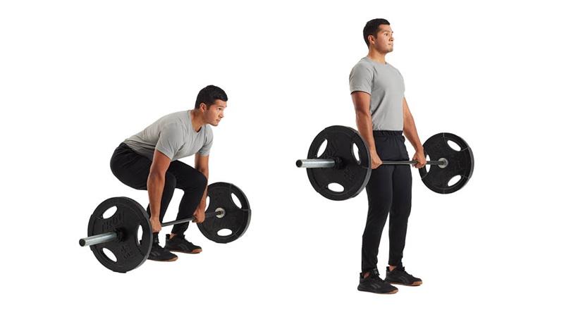 Tư thế Deadlift chuẩn xác giúp kích hoạt các nhóm cơ lớn và khởi động lò đốt calo mạnh mẽ.